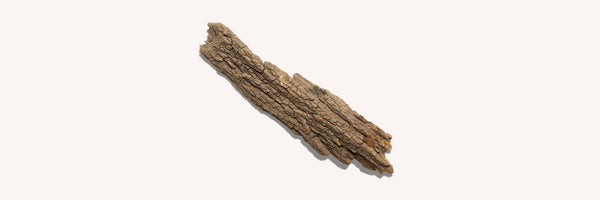 Willow Bark Extract for Skin: Benefits, How to Use