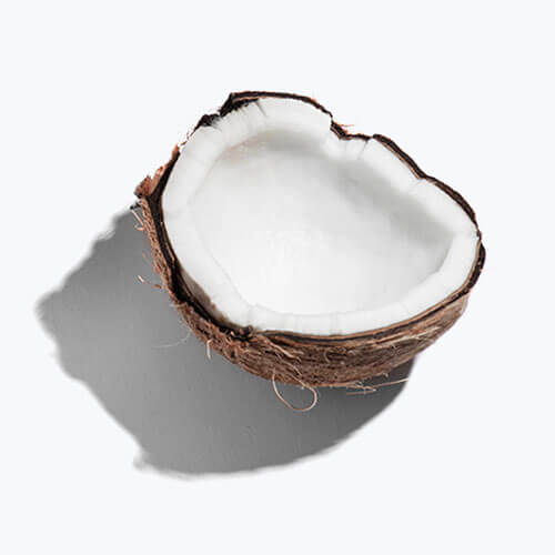 Organic Coconut Oil