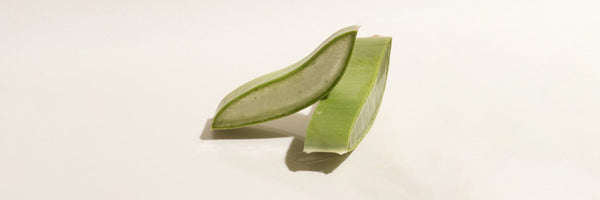 Best Face Moisturizers with Aloe Vera