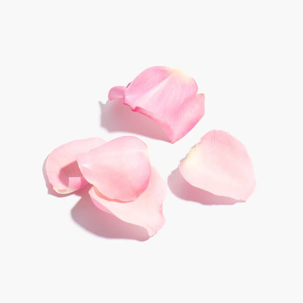 Rose Flower Oil