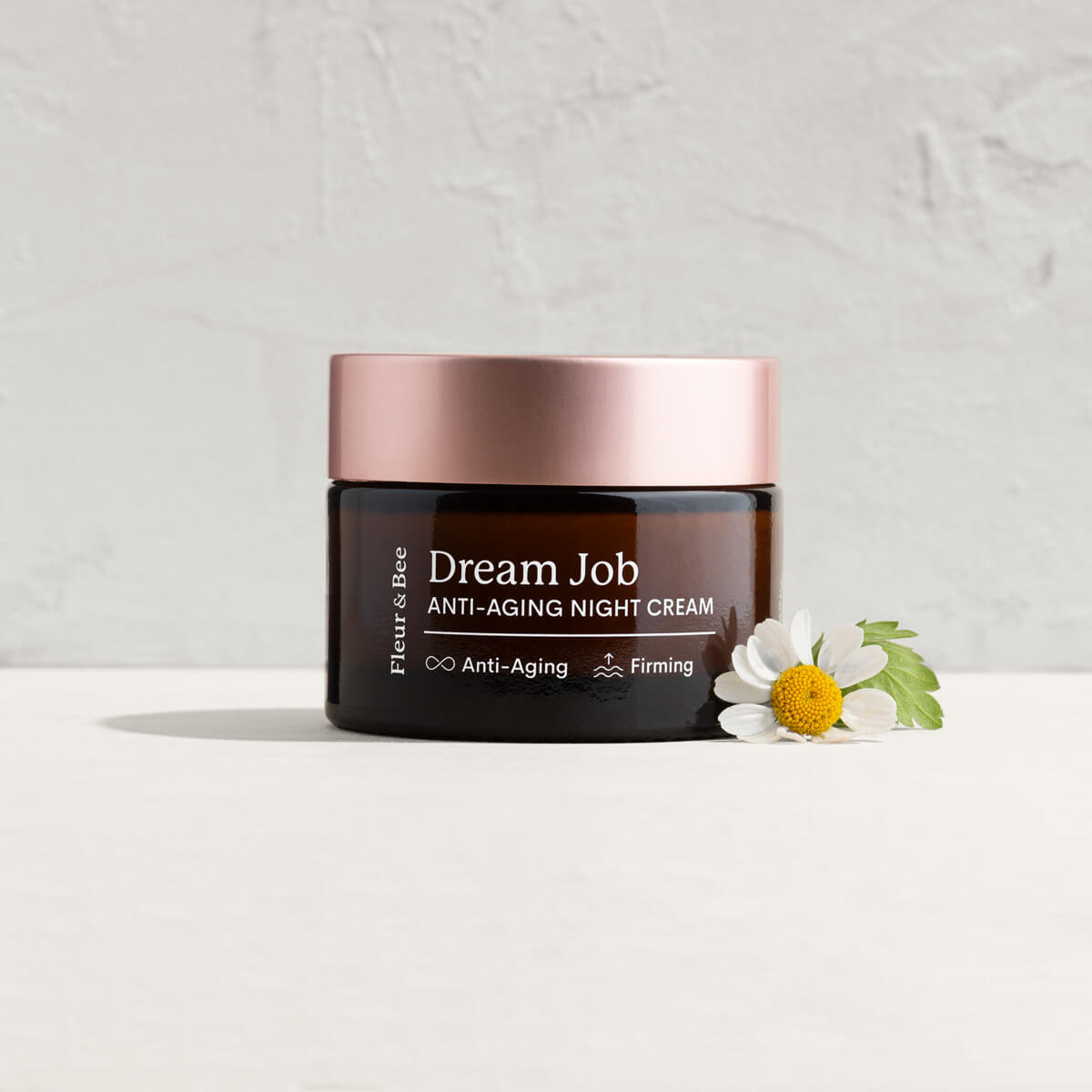 Anti-Aging Night Cream /  Dream Job