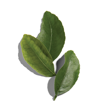 three leaves